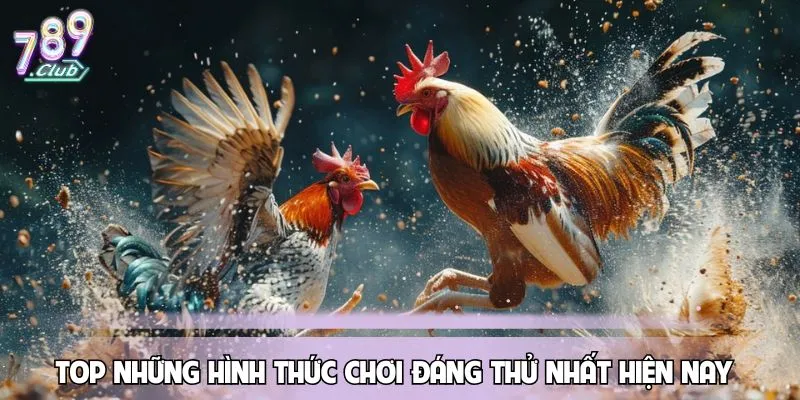 cuoc-da-ga-hinh-thuc
