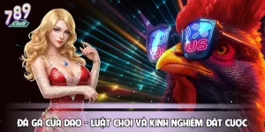 Đá Gà Cựa Dao - Luật Chơi Và Kinh Nghiệm Đặt Cược Chuẩn