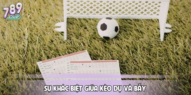 keo-du-su-khac-biet-giua-keo-du-va-bay