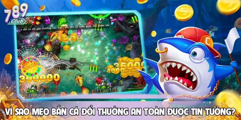 meo-ban-ca-doi-thuong-an-toan-vi-sao