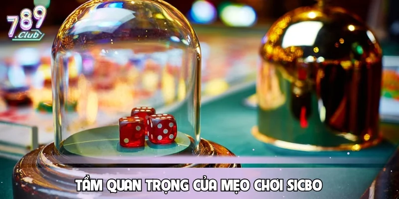 Tầm quan trọng của mẹo chơi Sicbo