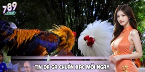 Tin Đá Gà Chuẩn Xác Mỗi ngày, Bắt Kèo Thông Minh Tại 789CLUB