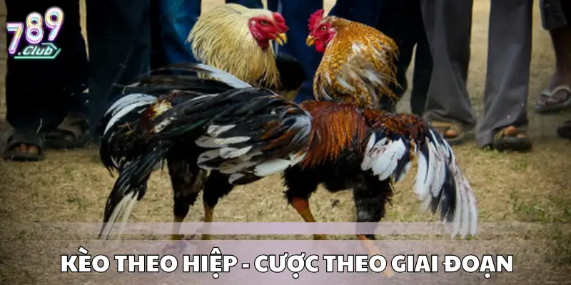 Kèo theo hiệp - cược theo giai đoạn